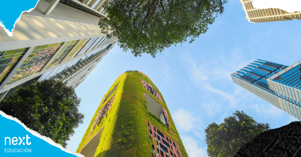 RSC y sostenibilidad - el compromiso empresarial que define el futuro